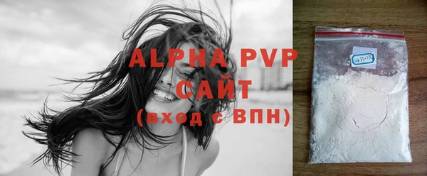 гидра Ельня