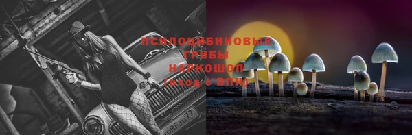прущий лед Елизово