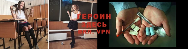 гидра Ельня