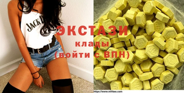 гидра Ельня