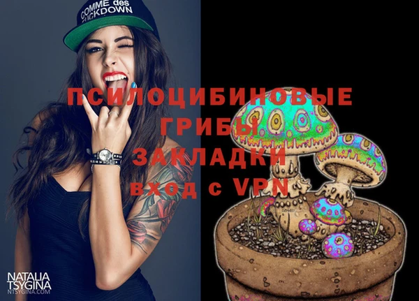 прущий лед Елабуга