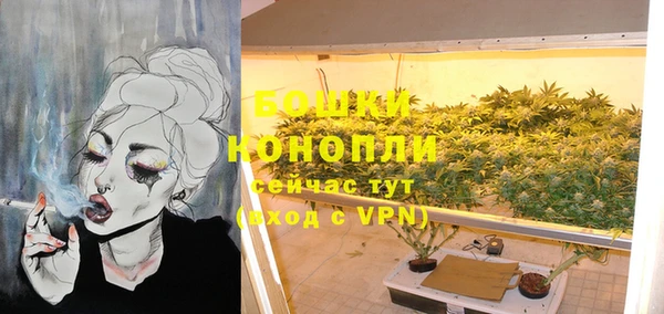 гидра Ельня