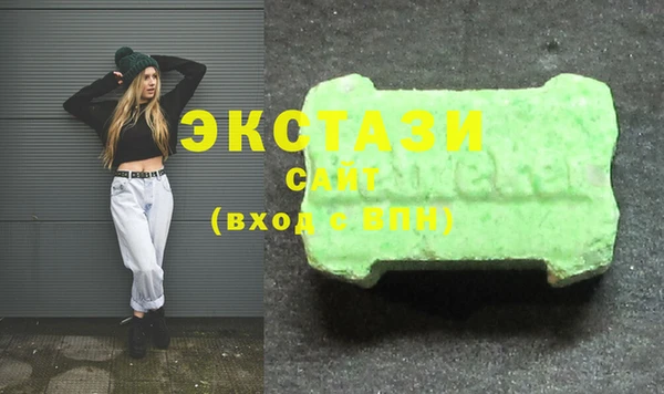 гидра Ельня