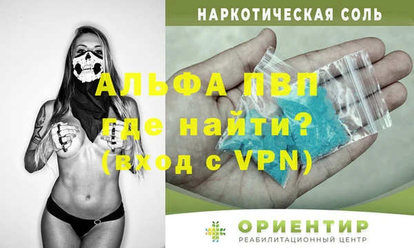 гидра Ельня