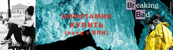 гидра Ельня