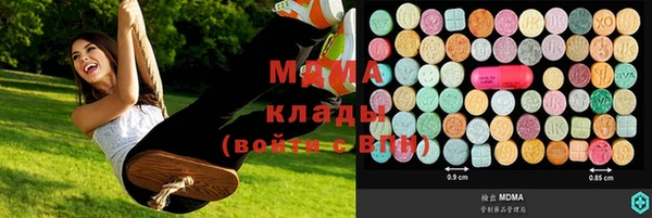 гидра Ельня
