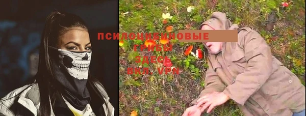 прущий лед Елизово