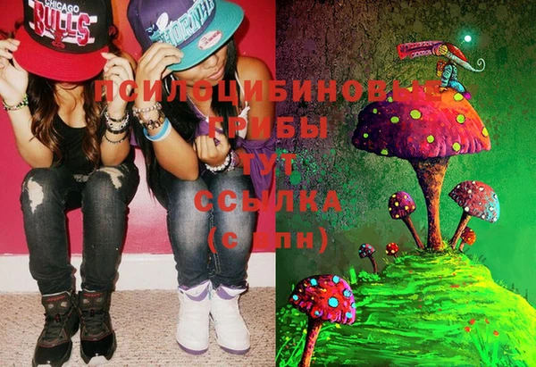 спайс Нягань