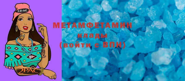 гидра Ельня